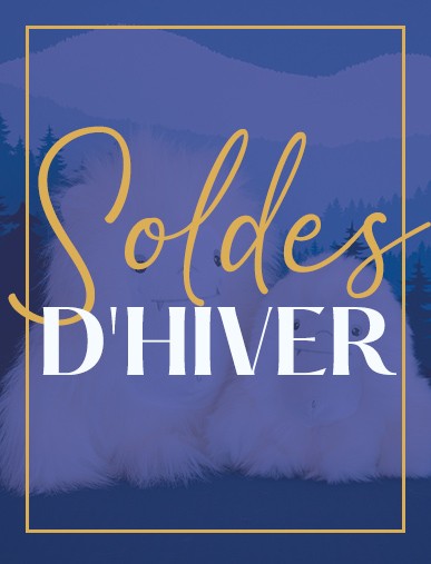 SOLDES D'HIVER